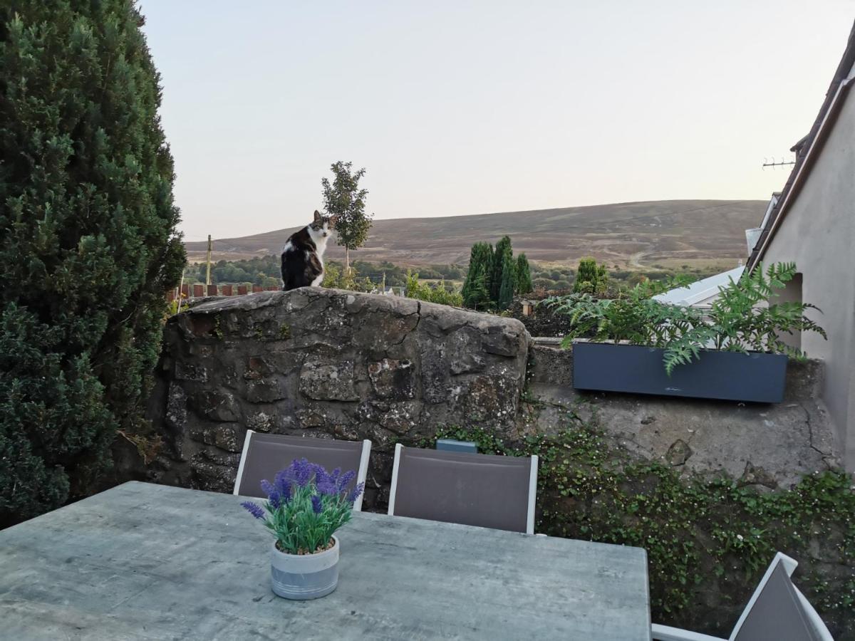 Ex-Miners Cottage, Blaenavon, Near Abergavenny Dış mekan fotoğraf